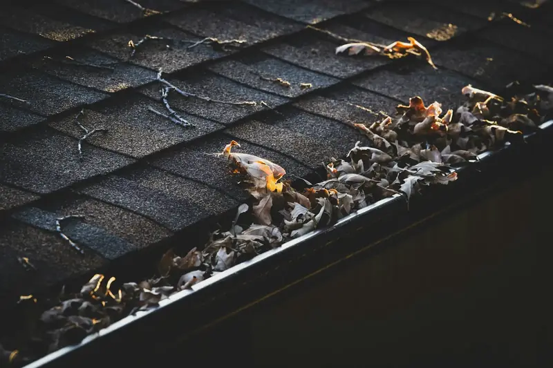 Gouttière bouchée par un amas de feuilles mortes au bas d’un toit