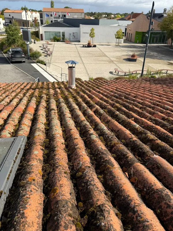 Toit en tuiles canal couvert de mousse et de lichens, avec son conduit de fumée